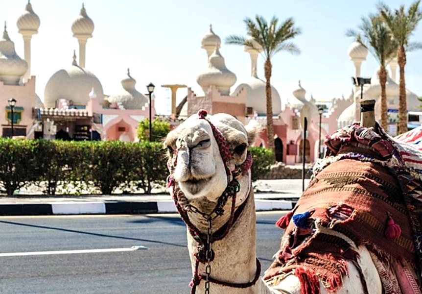 Sharm El Sheikh Turu (4 KAL 3 ÖDE )