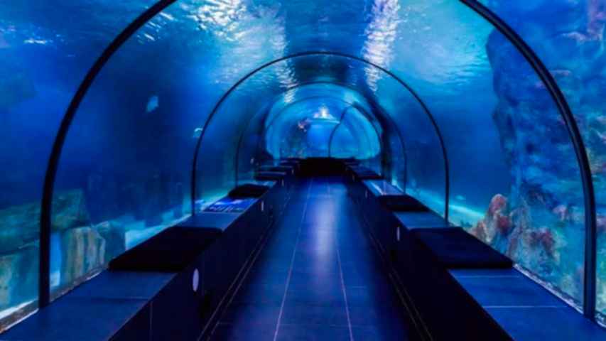 İstanbul ve Uludağ Kayak Merkezi Turu (2 Gece Konaklamalı)