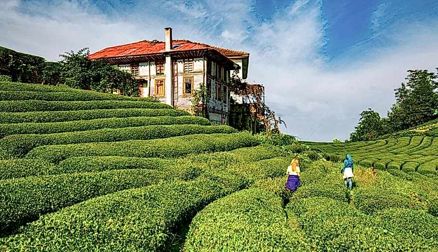 Uçaklı Butik Batum ve Ayder Yaylası Turu (2 Gece Batum Konaklamalı)