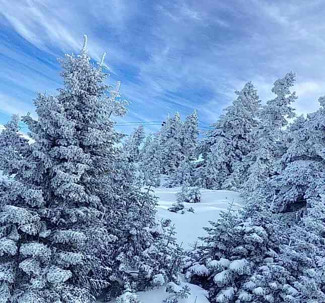Günübirlik Uludağ Turu